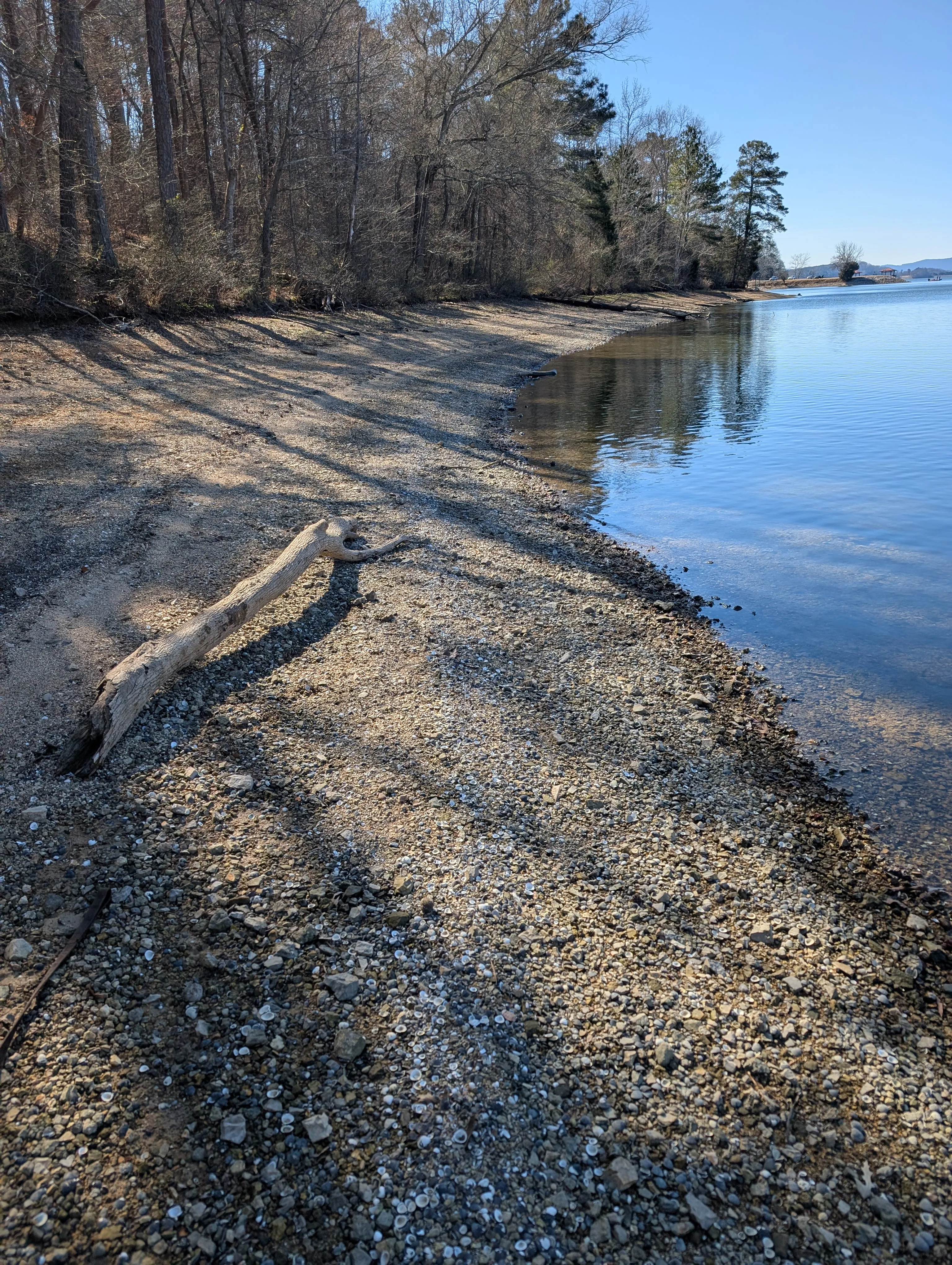 Driftwood log forming a natural bench at Booker T Washington State Park