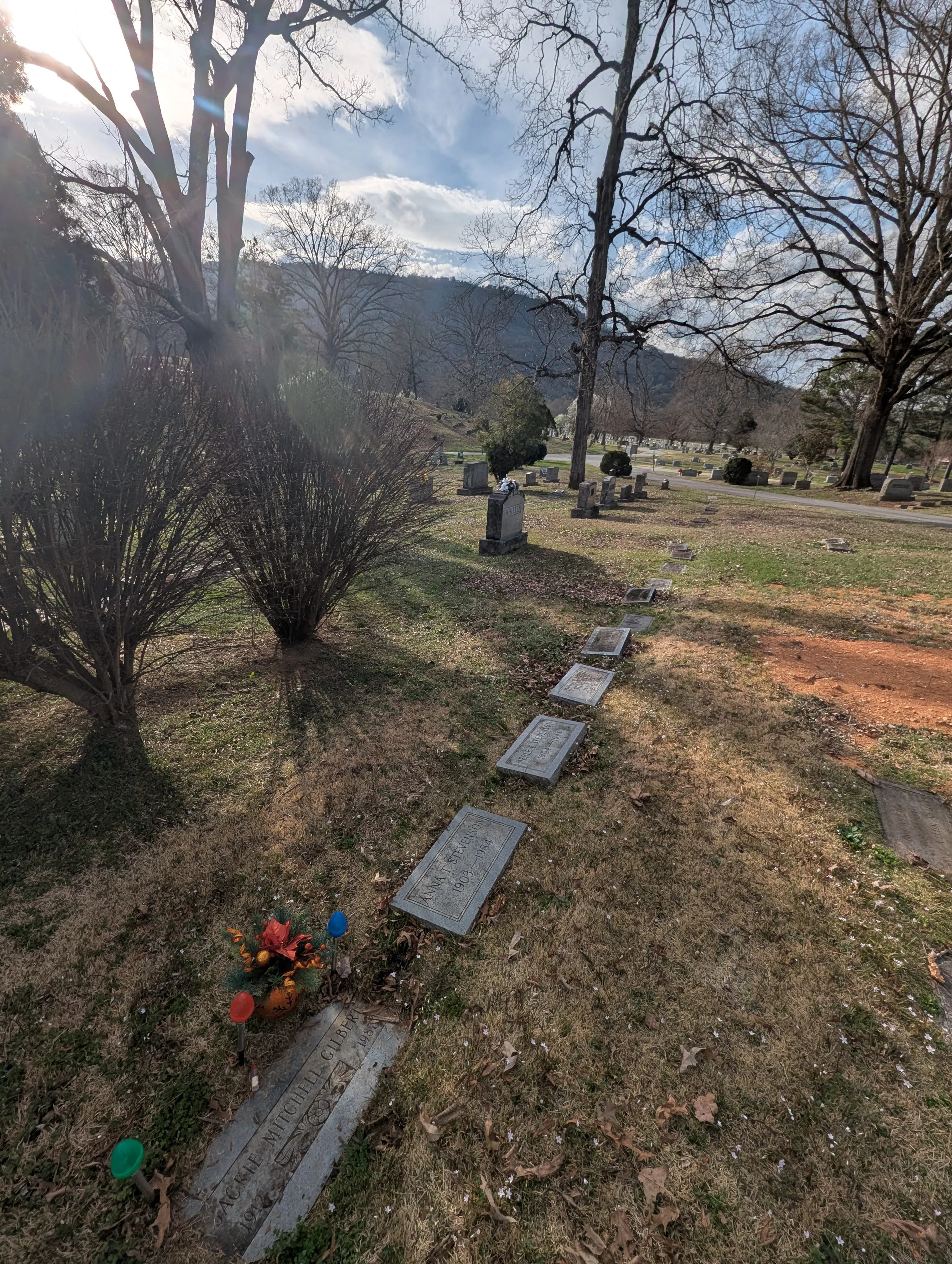 Forest Hills Cemetery in St Elmo with mountains in the distance
