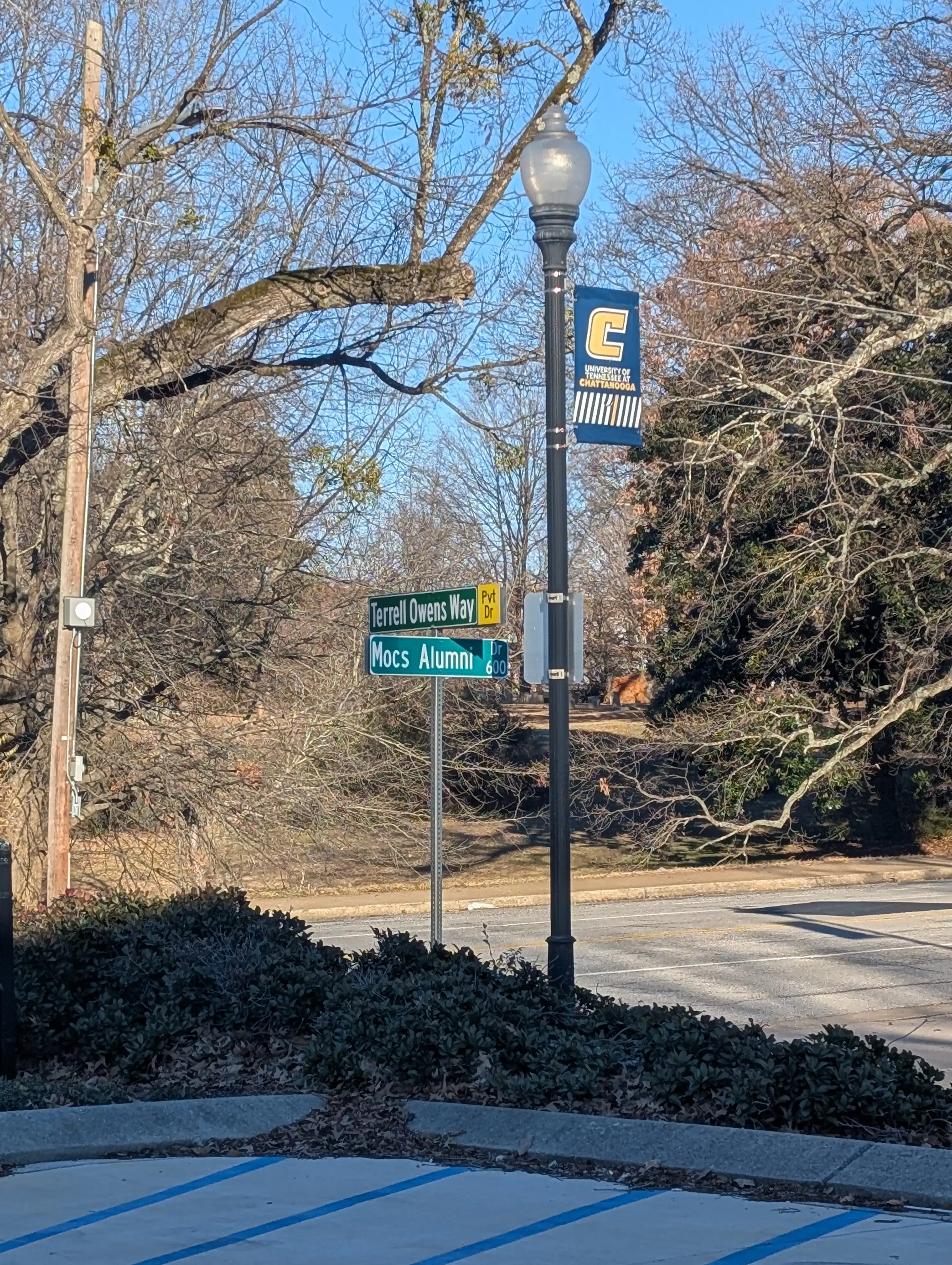 Terrell Owens Way street sign