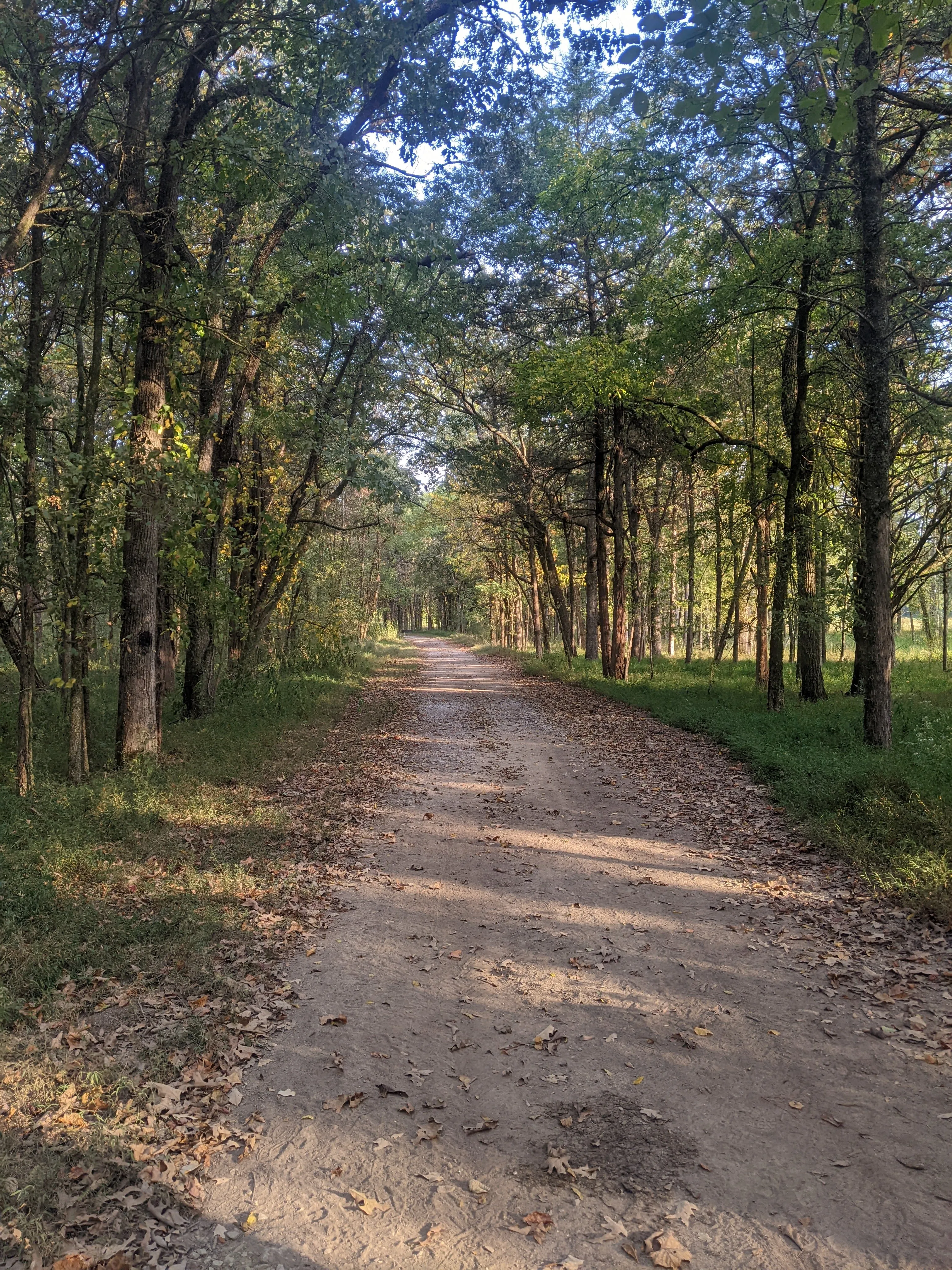A scenic tree tunnel offers shade over a wide dirt trail at Chickamauga Battlefield park.