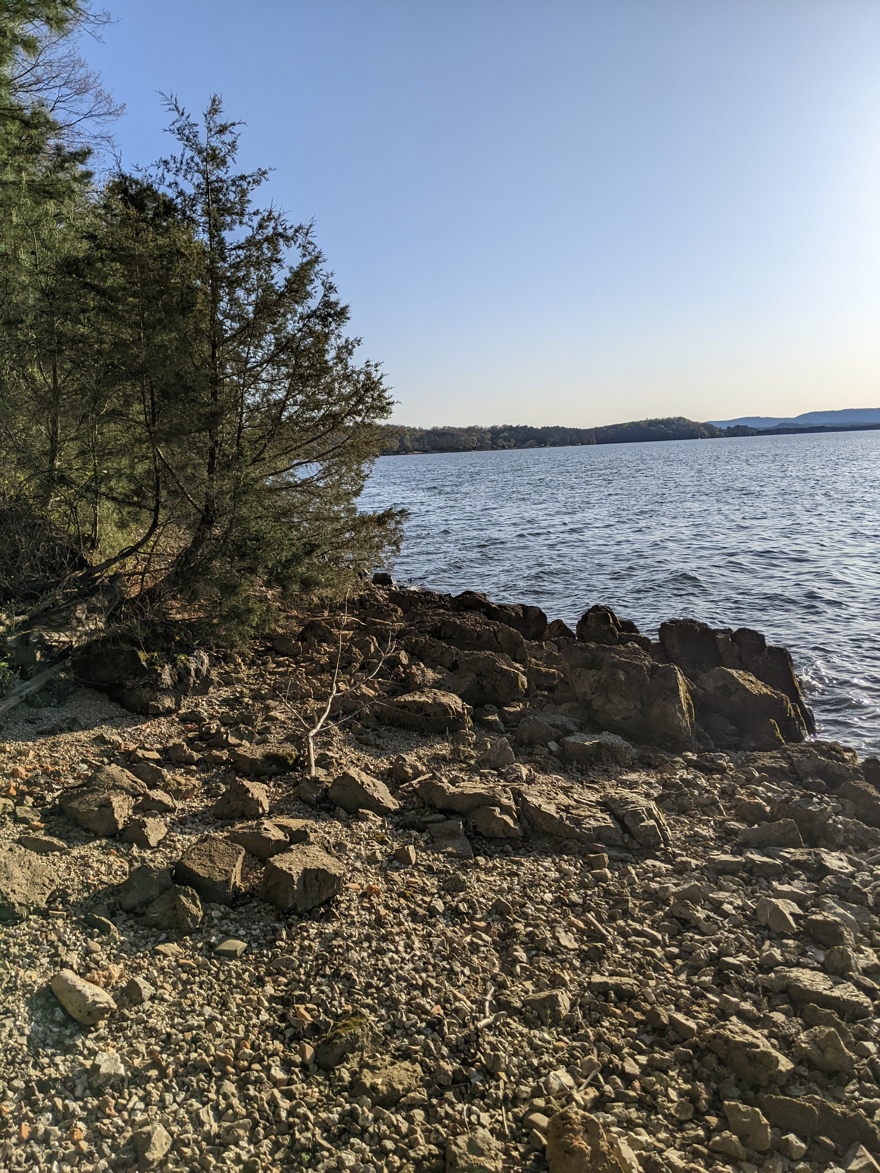 Wooded shoreline along Chickamauga Lake at Booker T. Washington State Park