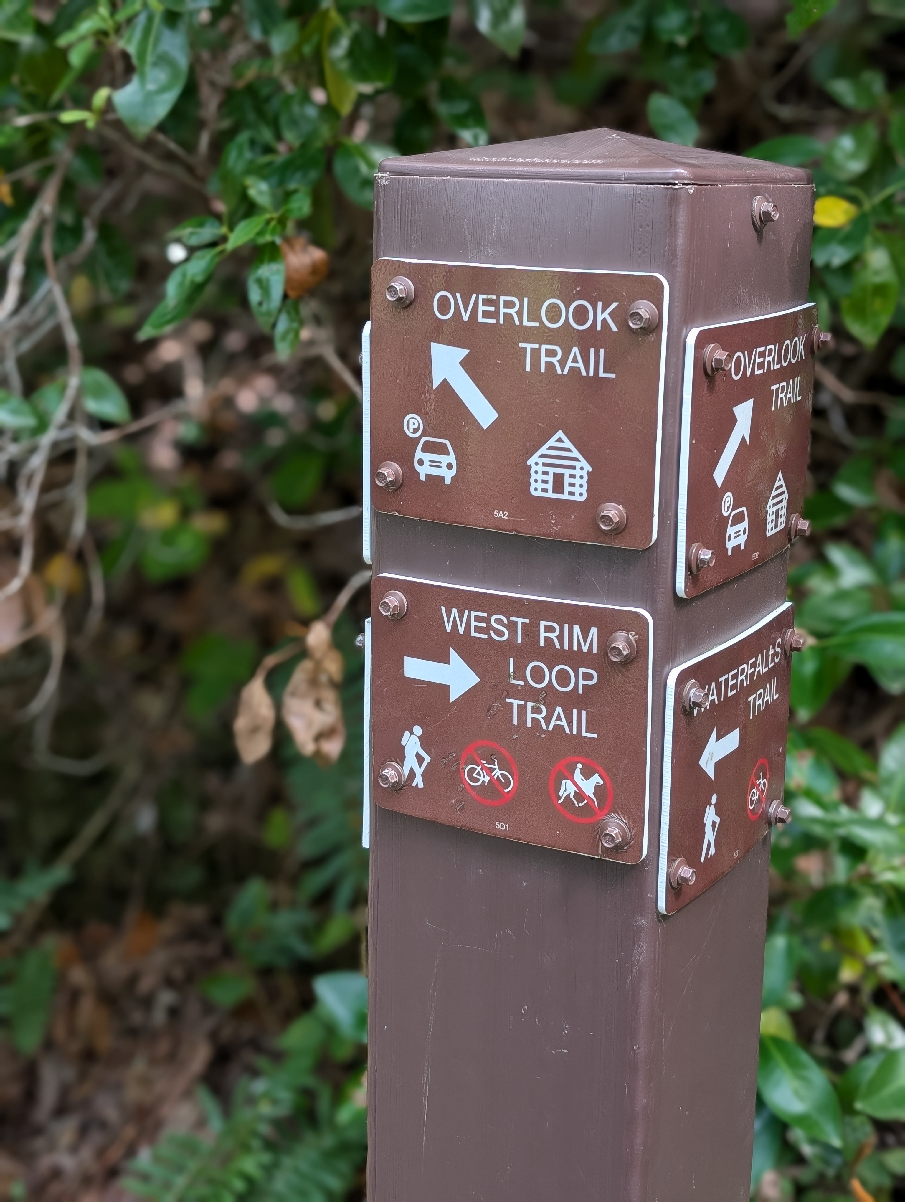 West Rim and Overlook Trail fork