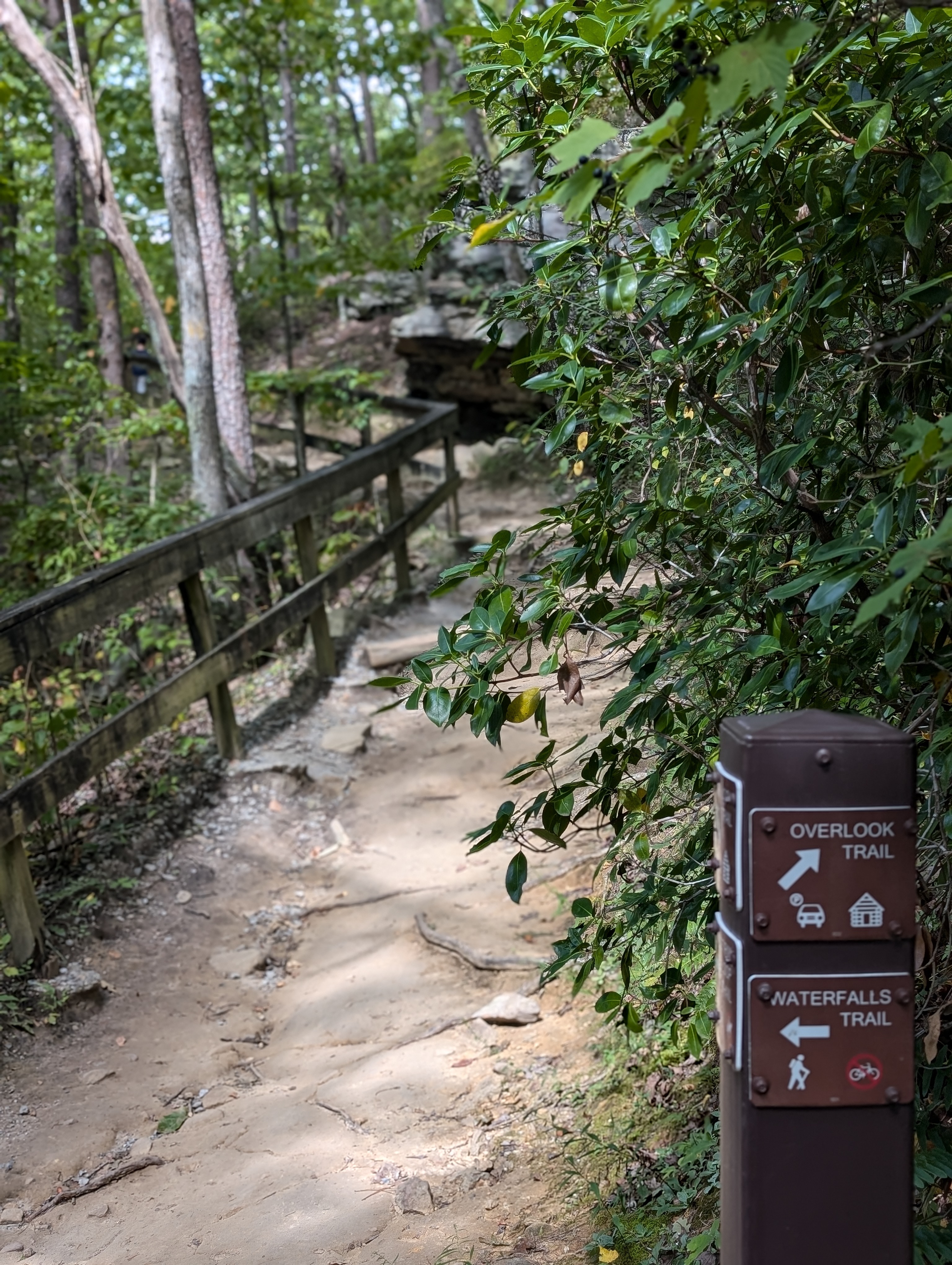 West Rim and Overlook Trail fork