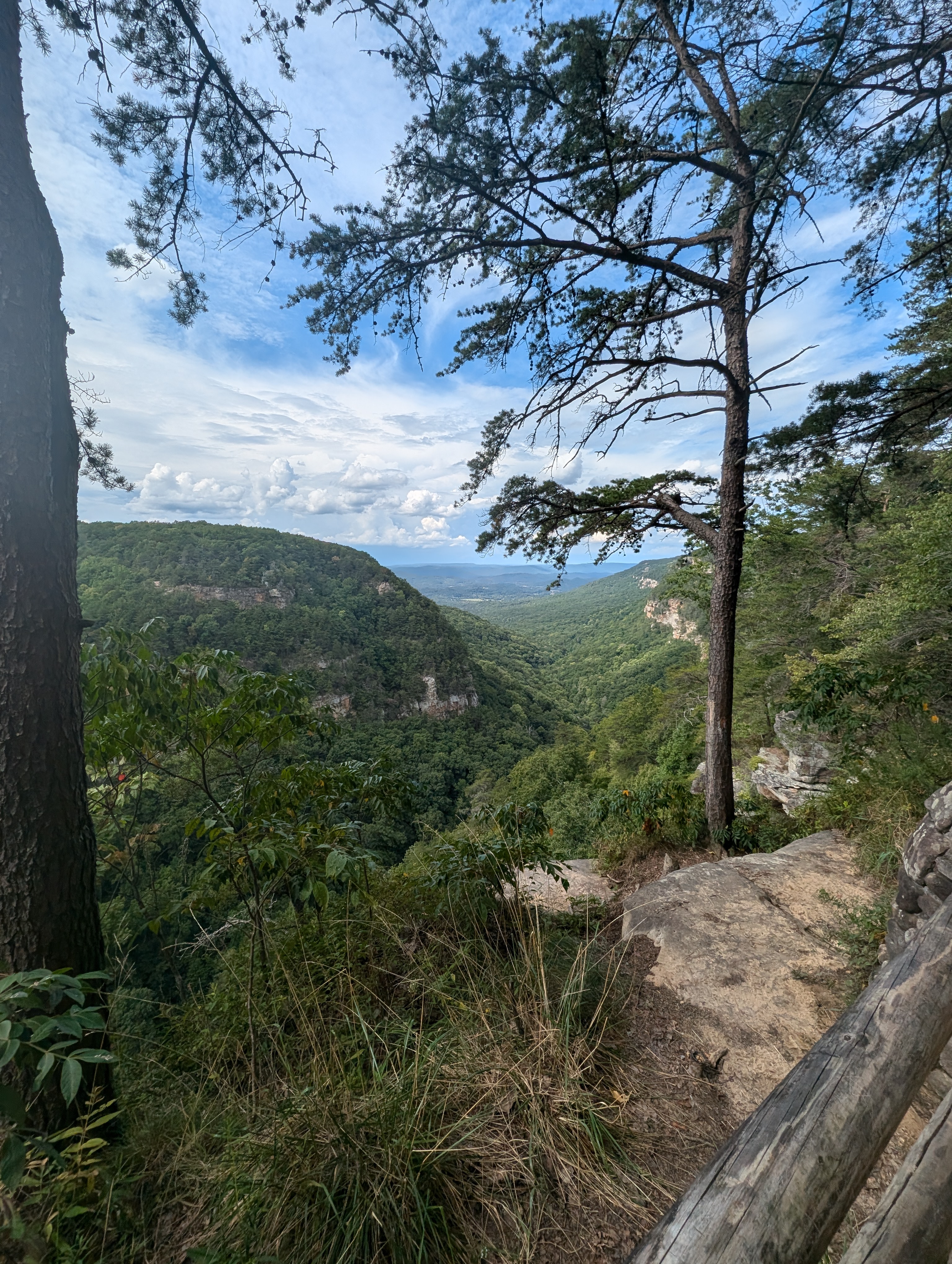 overlook of the canyon