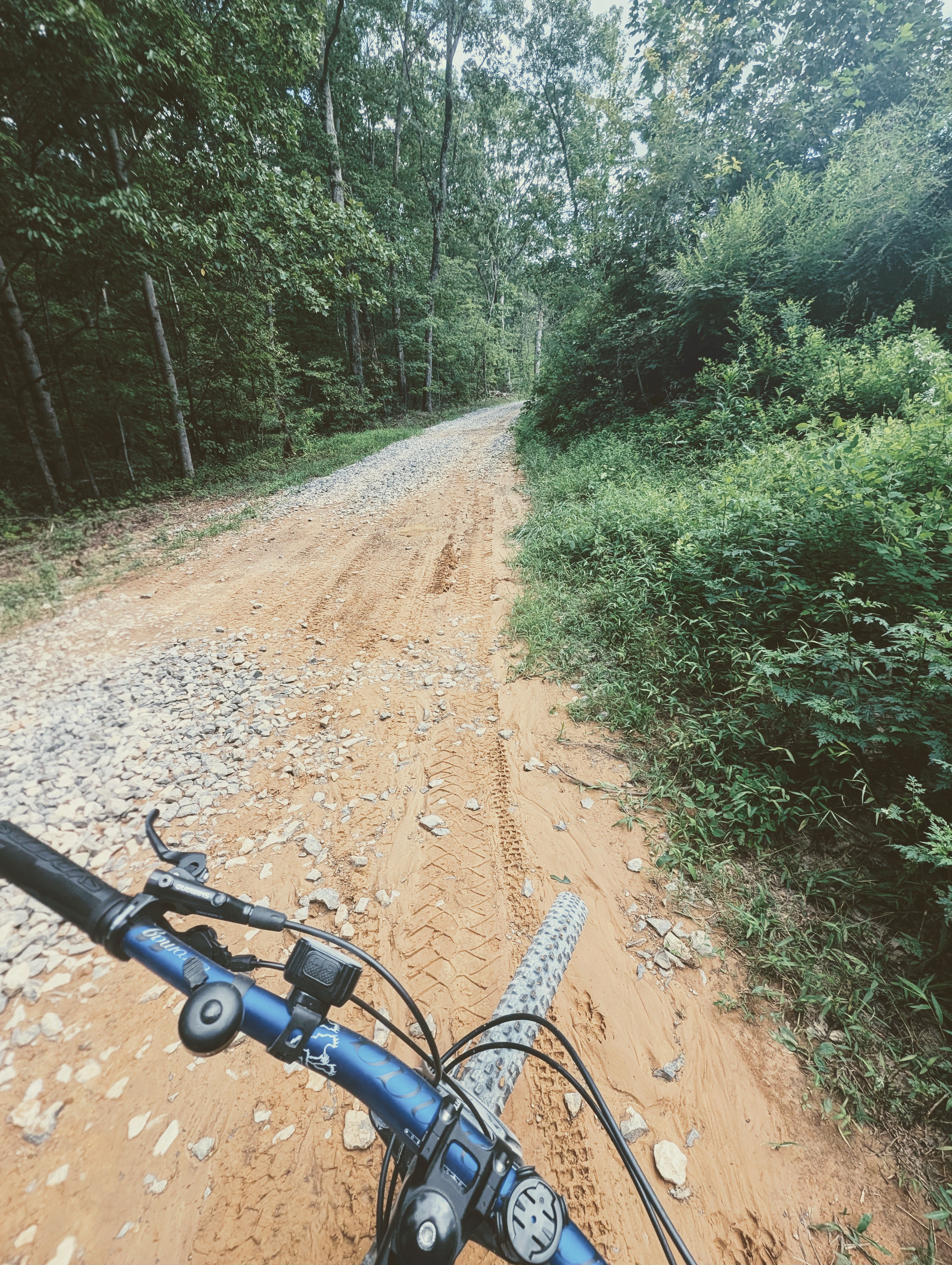 Turn off to the trail for Davis Pond in Prentice Cooper for backcountry camping.