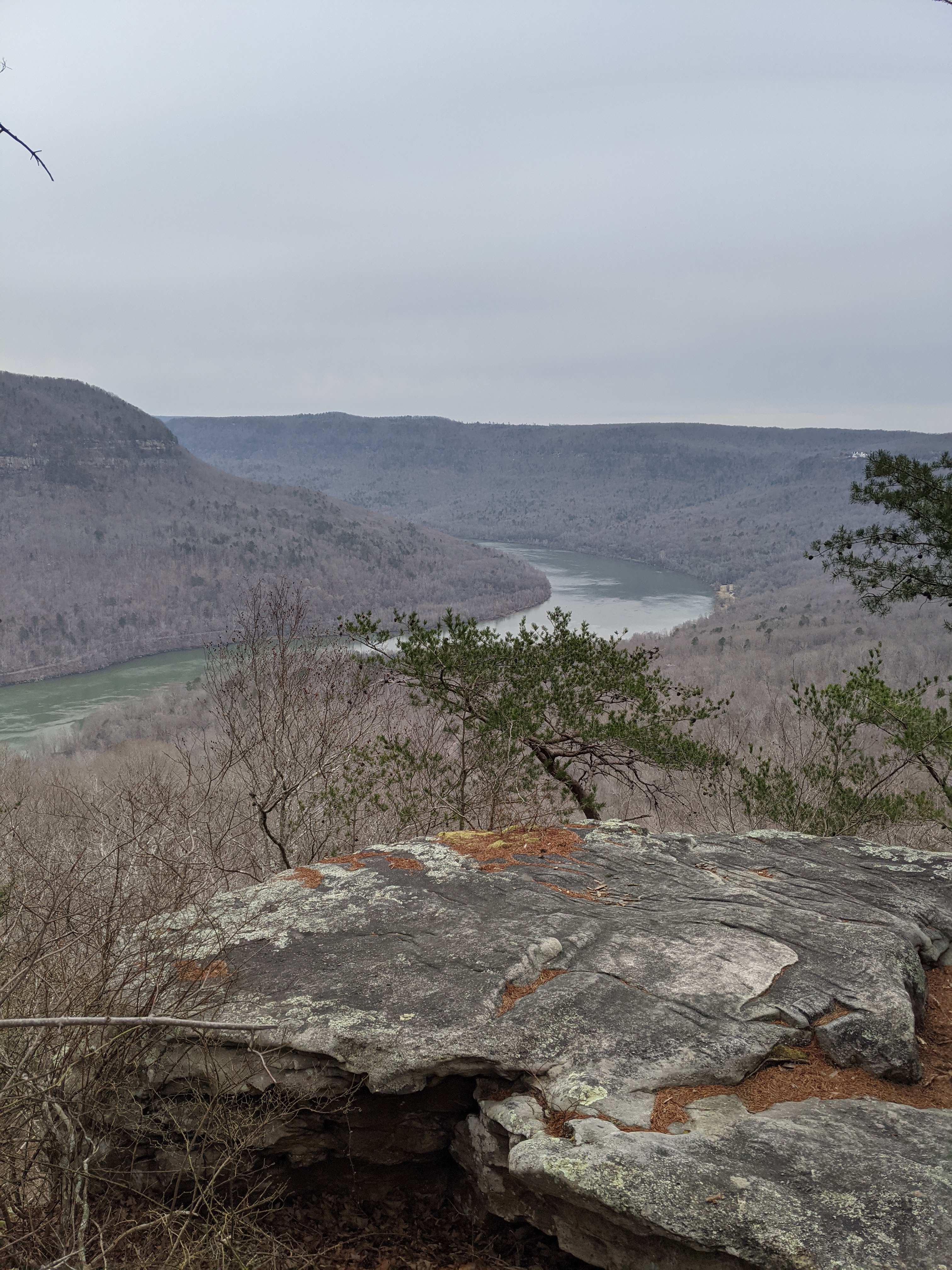 An expansive view into the gorge of the Tennessee River from a Raccoon Mountain trail.