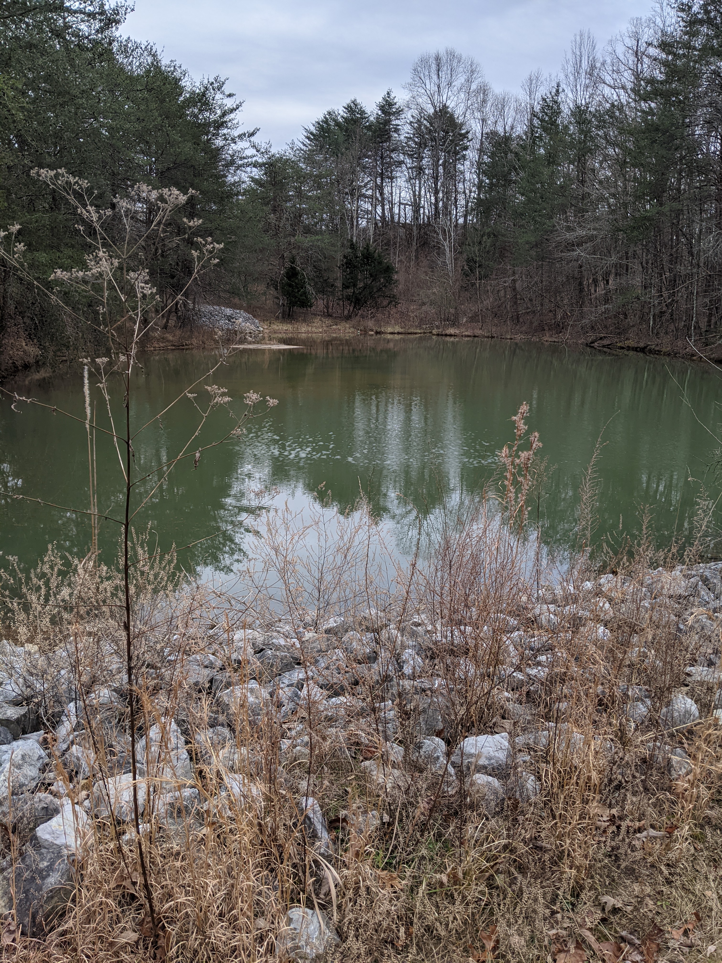 A view of a pond next to a Raccoon Mountain MTB and hiking trail.